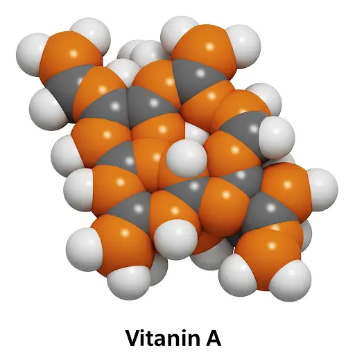 Vitamin A